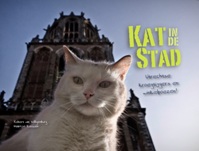 Kat in de Stad