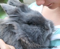 Gein met je konijn (of cavia)