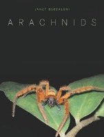 Arachnids