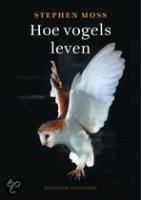 Hoe vogels leven