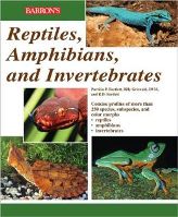 Reptiles, Amphibians, and Invertebrates