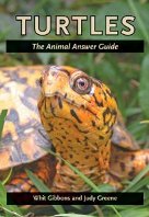 Turtles: The Animal Answer Guide