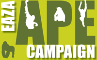 EAZA Ape Campaign