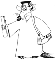 Intelligentietest voor ratten