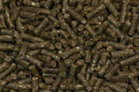 Bundeling van krachten